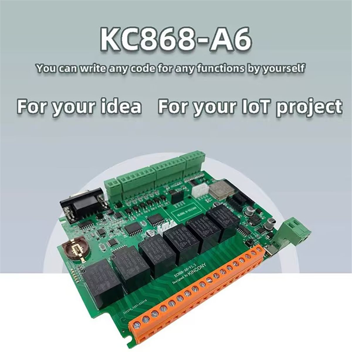 Placa de desarrollo KC868-A6,  - Home Automation Systems Diy reseña y precio