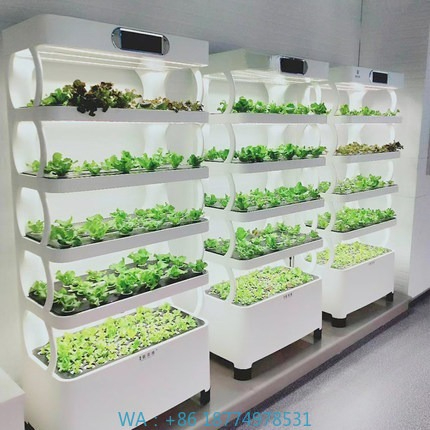 Sistema de cultivo automatizad - Home Automation Systems Diy reseña y precio